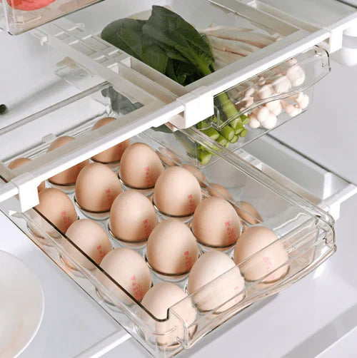 Organizador Armazenamento para Geladeira | FrostyBin